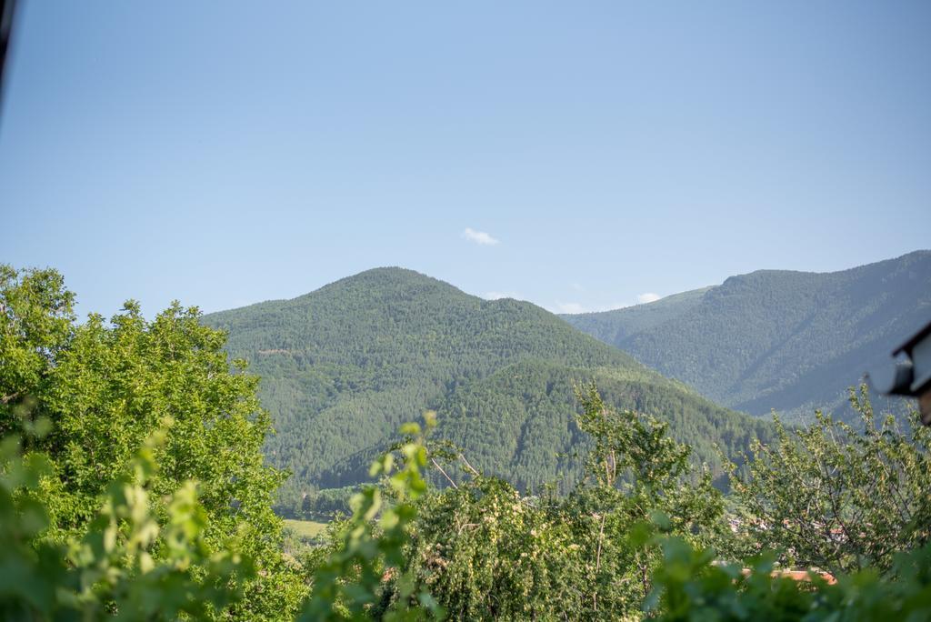Guesthouse Juli Saparewa Banja Zewnętrze zdjęcie