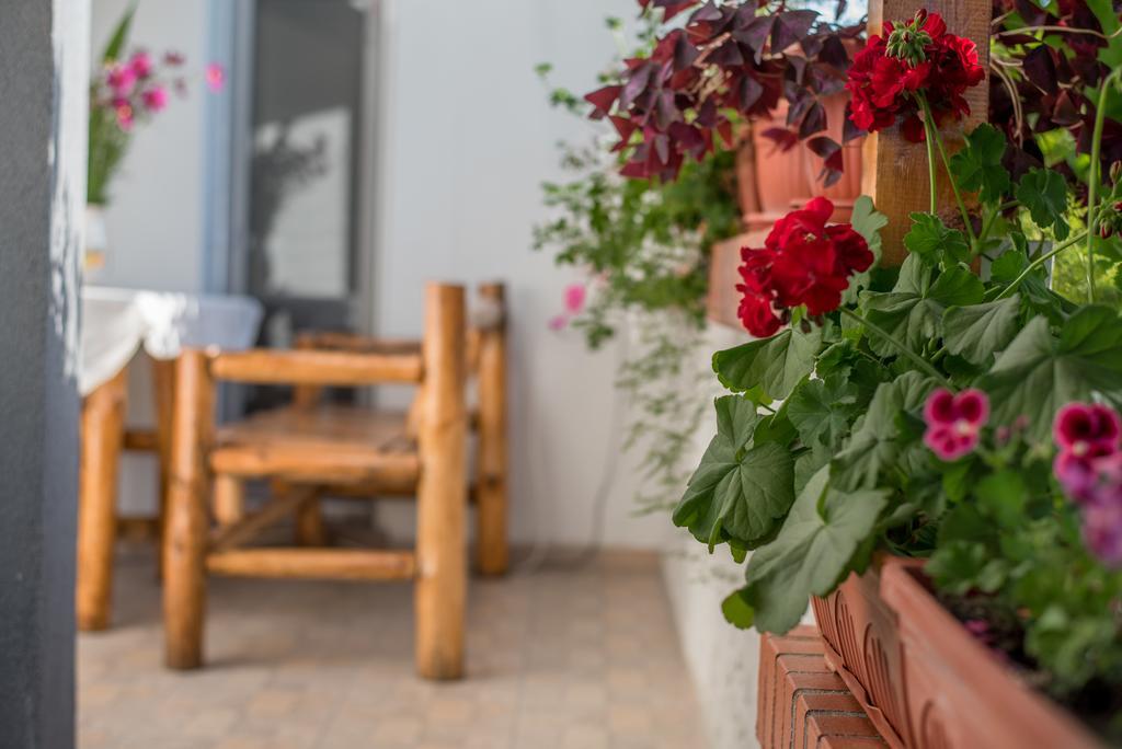 Guesthouse Juli Saparewa Banja Zewnętrze zdjęcie