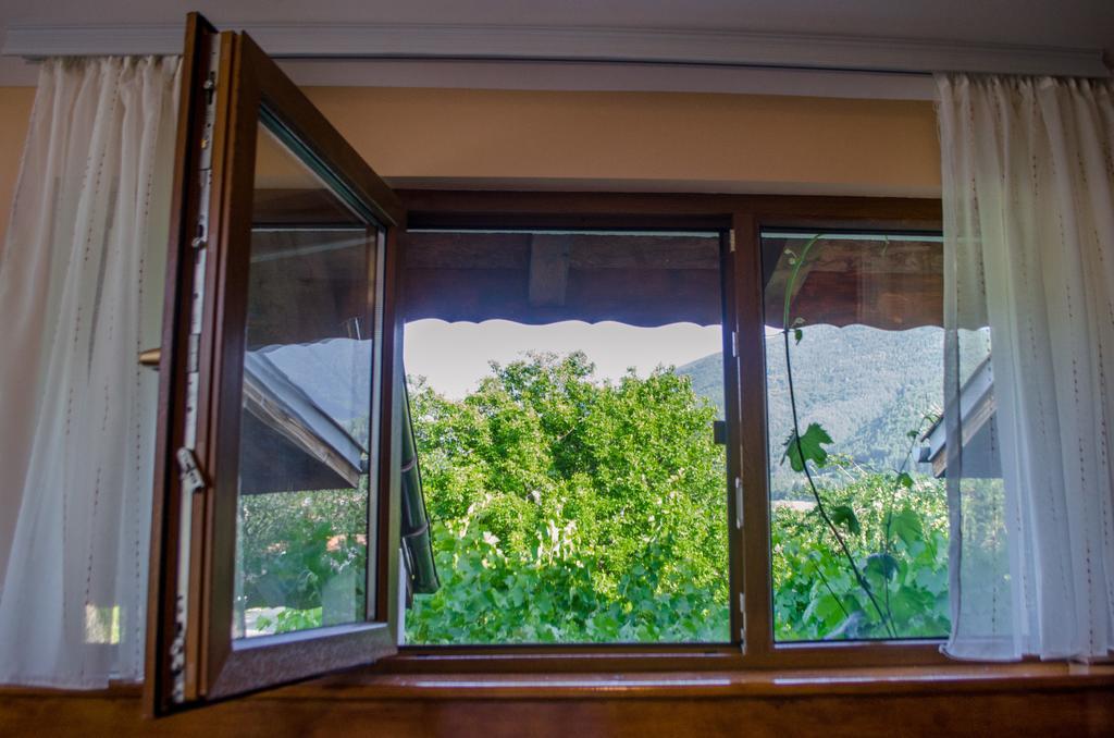 Guesthouse Juli Saparewa Banja Zewnętrze zdjęcie