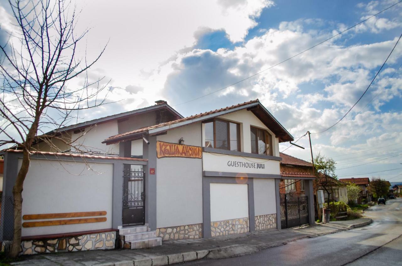 Guesthouse Juli Saparewa Banja Zewnętrze zdjęcie