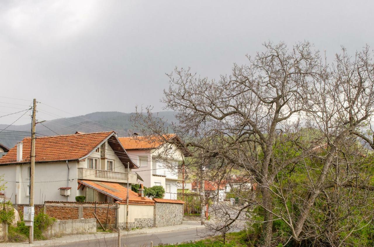 Guesthouse Juli Saparewa Banja Zewnętrze zdjęcie