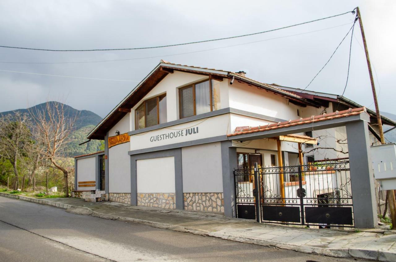 Guesthouse Juli Saparewa Banja Zewnętrze zdjęcie